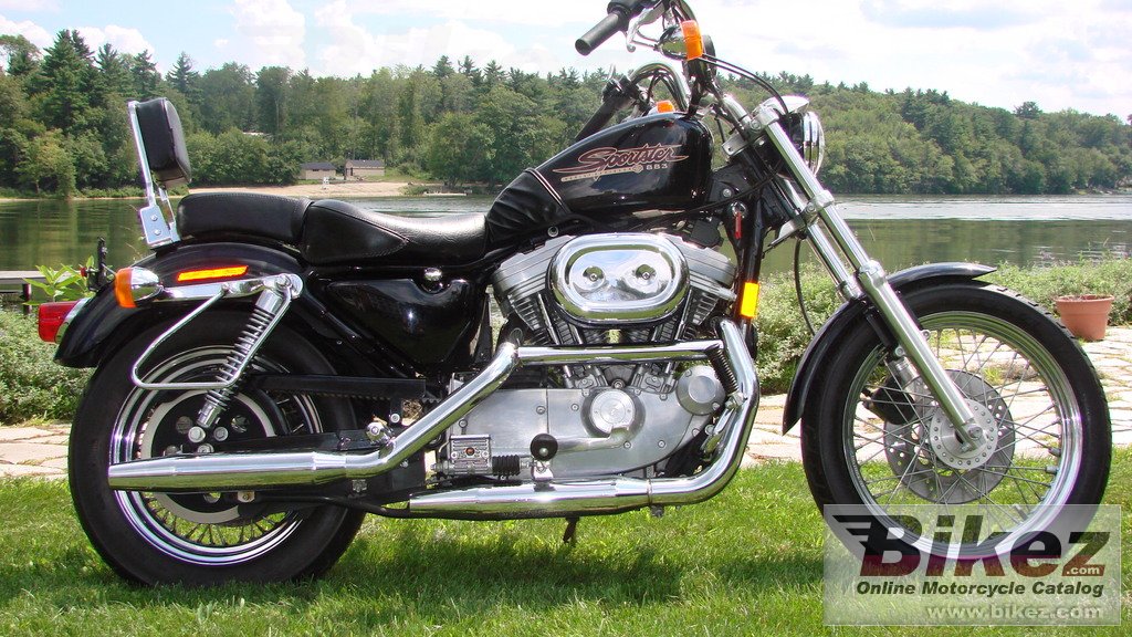 Big nymous user. 883 sportster standard picture and wallpaper from Bikez.com